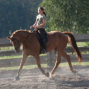 img_0713aa.jpg.jpg